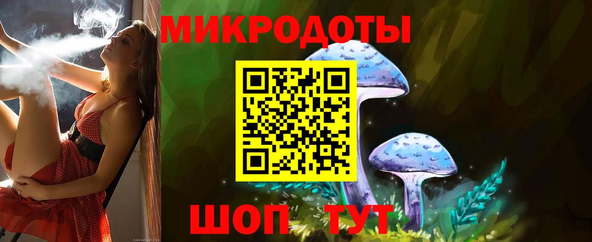 Псилоцибиновые грибы Psilocybe  Галлюциногенные грибы MAGIC MUSHROOMS  Дербент  Вход с VPN 